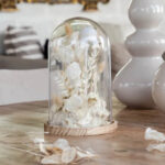 Glass dome with stabilized flowers L