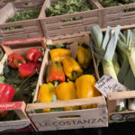 Campo de’ Fiori Market Tour & Cooking Class in Rome